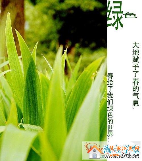 淘寶店鋪裝修