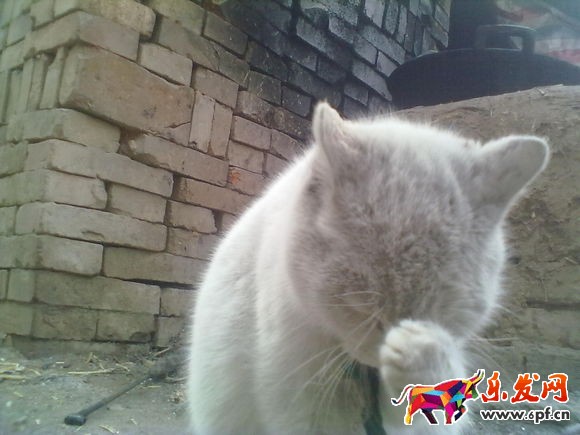 淘寶開店主關(guān)鍵詞排名下降怎么救？
