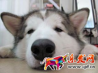 關(guān)于淘寶開店評(píng)價(jià)那些事