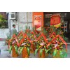 廈門(mén)花籃必選綠意海園林工程有限公司，廈門(mén)開(kāi)業(yè)花籃送貨上門(mén)13779959203專業(yè)制做