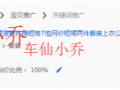 【直通車系列篇】08 那些年我們追過的關鍵詞